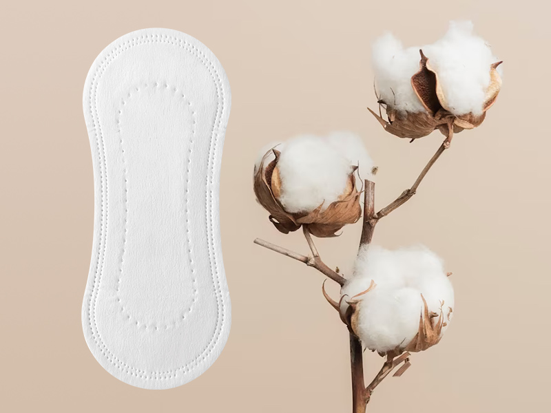 Ultra Thin Organic Cotton Biodegradable Panty Liner