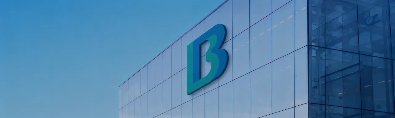 BINGBING Group — международная компания по производству гигиенических прокладок и средств женской гигиены